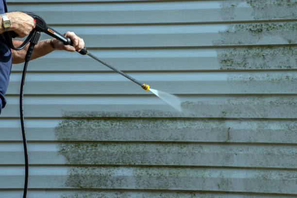 Best Driveway Pressure Washing  in Cape May, NJ